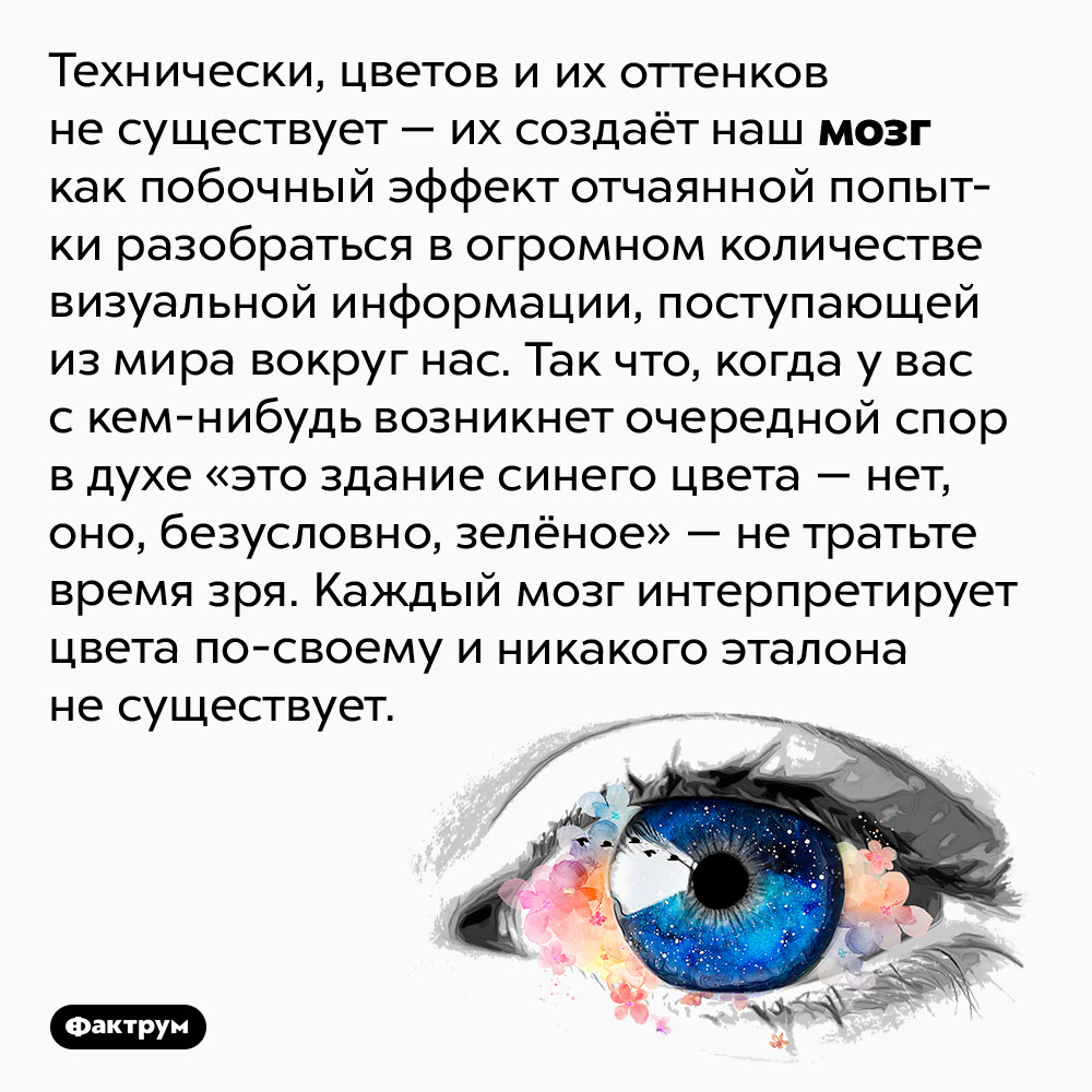 Цвета и их оттенки создаёт мозг — на самом деле их не существует. Технически, цветов и их оттенков не существует — их создаёт наш мозг как побочный эффект отчаянной попытки разобраться в огромном количестве визуальной информации, поступающей из мира вокруг нас. Так что, когда у вас с кем-нибудь возникнет очередной спор в духе «это здание синего цвета — нет, оно, безусловно, зелёное» — не тратьте время зря. Каждый мозг интерпретирует цвета по-своему и никакого эталона не существует.