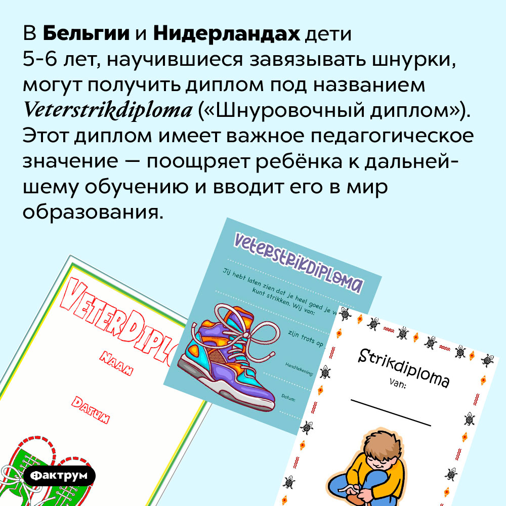 В Бельгии и Нидерландах дети получают диплом, научившись завязывать шнурки. В Бельгии и Нидерландах дети 5-6 лет, научившиеся завязывать шнурки, могут получить диплом под названием <em>Veterstrikdiploma</em> («Шнуровочный диплом»). Этот диплом имеет важное педагогическое значение — поощряет ребёнка к дальнейшему обучению и вводит его в мир образования.
