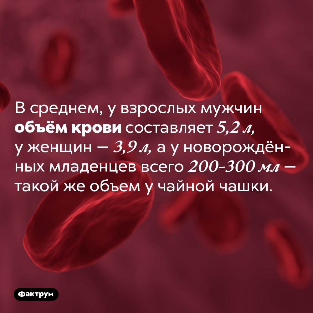 Сколько крови у новорождённых?. В среднем, у взрослых мужчин объём крови составляет 5,2 л, у женщин — 3,9 л, а у новорождённых младенцев всего 200-300 мл — такой же объем у чайной чашки. 