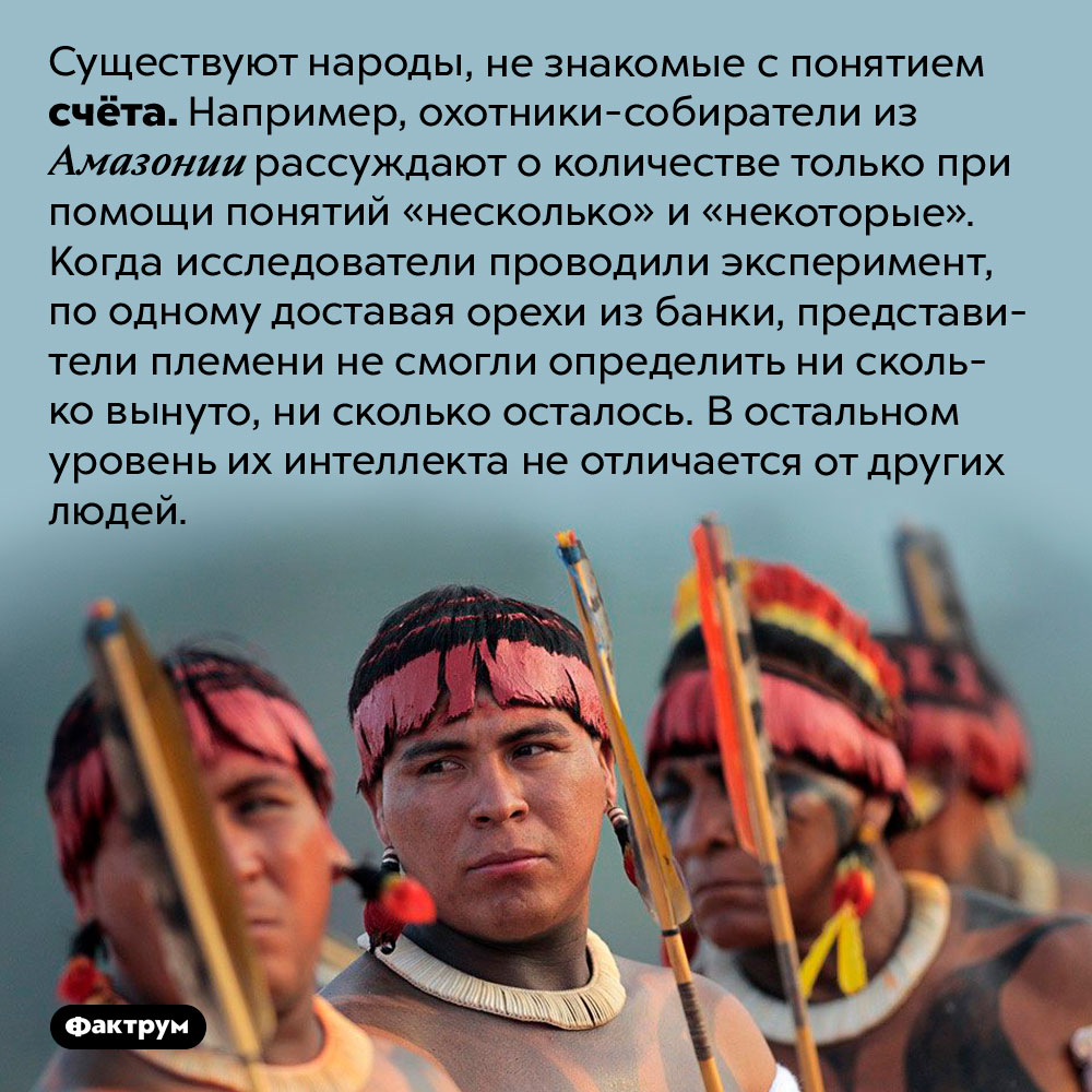 Существуют народы, неспособные считать.
Существуют народы, не знакомые с понятием счёта. Например, охотники-собиратели из Амазонии рассуждают о количестве только при помощи понятий «несколько» и «некоторые». Когда исследователи проводили эксперимент, по одному доставая орехи из банки, представители племени не смогли определить ни сколько вынуто, ни сколько осталось. В остальном уровень их интеллекта не отличается от других людей.