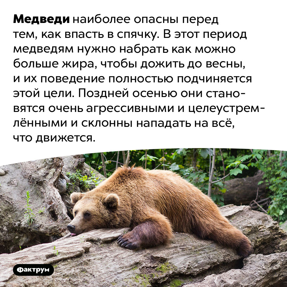 Александр Розенбаум – Ветер-конокрад
