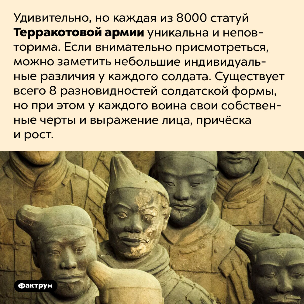 Все статуи Терракотовой армии разные. Удивительно, но каждая из 8000 статуй Терракотовой армии уникальна и неповторима. Если внимательно присмотреться, можно заметить небольшие индивидуальные различия у каждого солдата. Существует всего 8 разновидностей солдатской формы, но при этом у каждого воина свои собственные черты и выражение лица, причёска и рост.