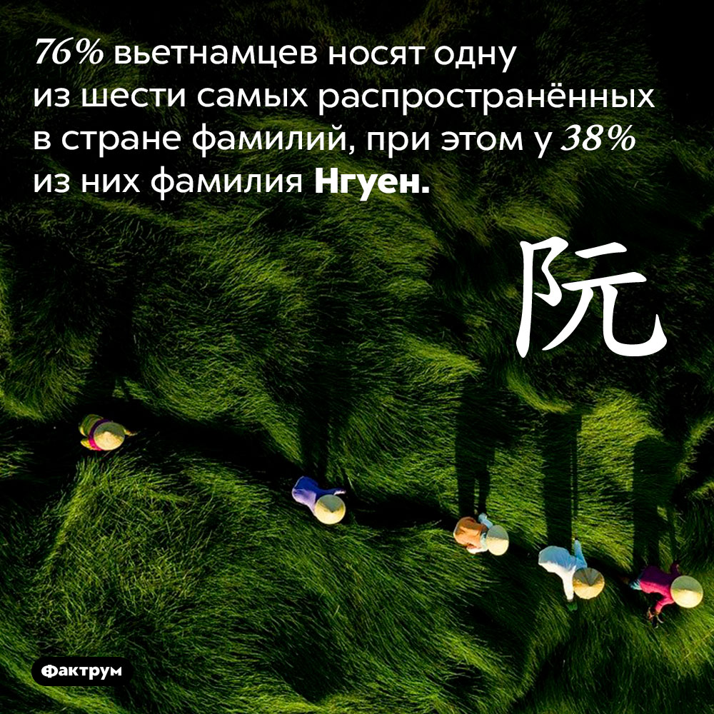 Во Вьетнаме всего шесть распространённых фамилий. 76% вьетнамцев носят одну из шести самых распространённых в стране фамилий, при этом у 38% из них фамилия Нгуен.
