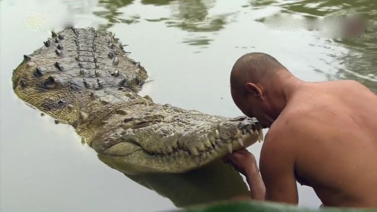 крокодил наркотики документальный фильм