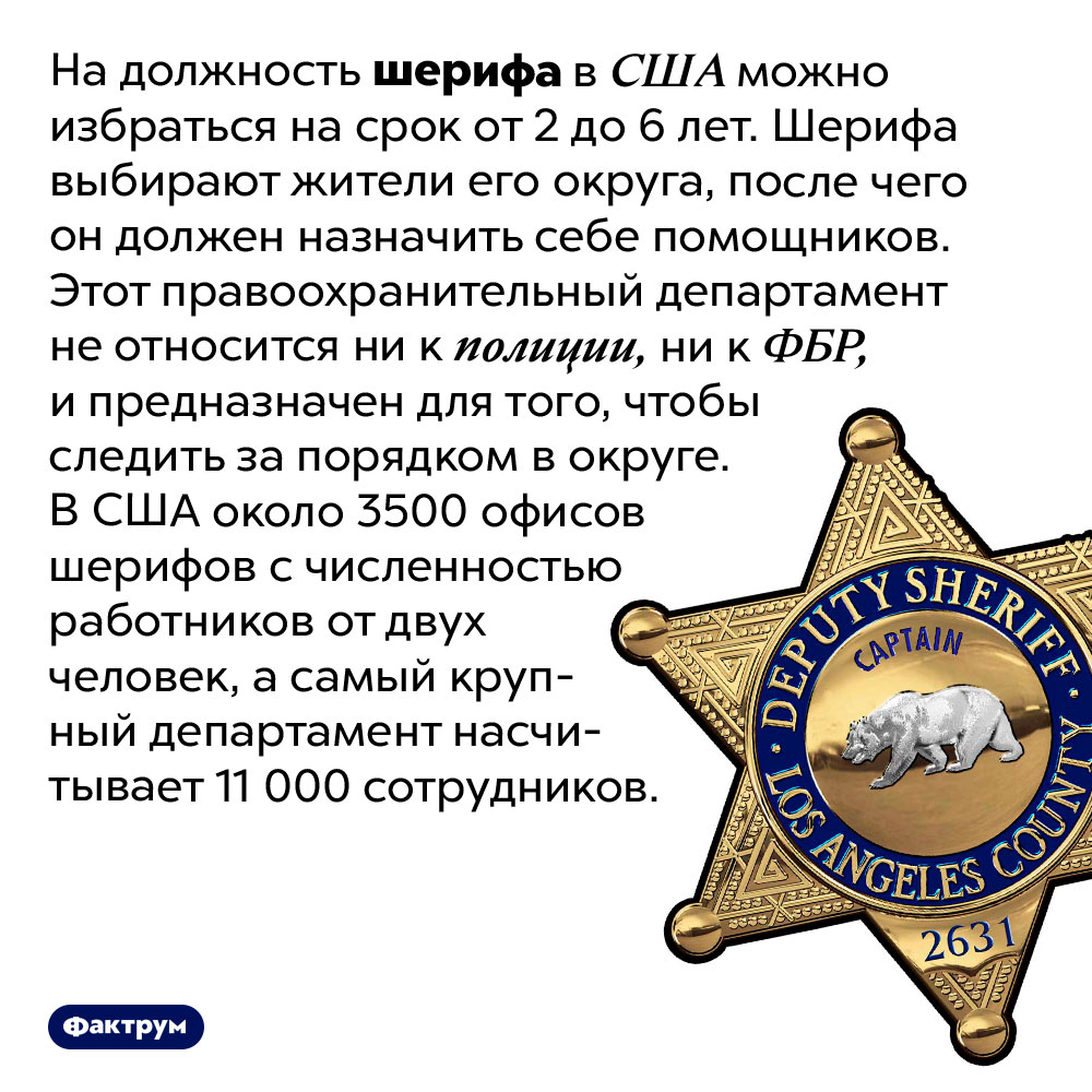 Американские шерифы не имеют отношения к полиции. На должность шерифа в США можно избраться на срок от 2 до 6 лет. Шерифа выбирают жители его округа, после чего он должен назначить себе помощников. Этот правоохранительный департамент не относится ни к полиции, ни к ФБР, и предназначен для того, чтобы следить за порядком в округе. В США около 3500 офисов шерифов с численностью работников от двух человек, а самый крупный департамент насчитывает 11 000 сотрудников.