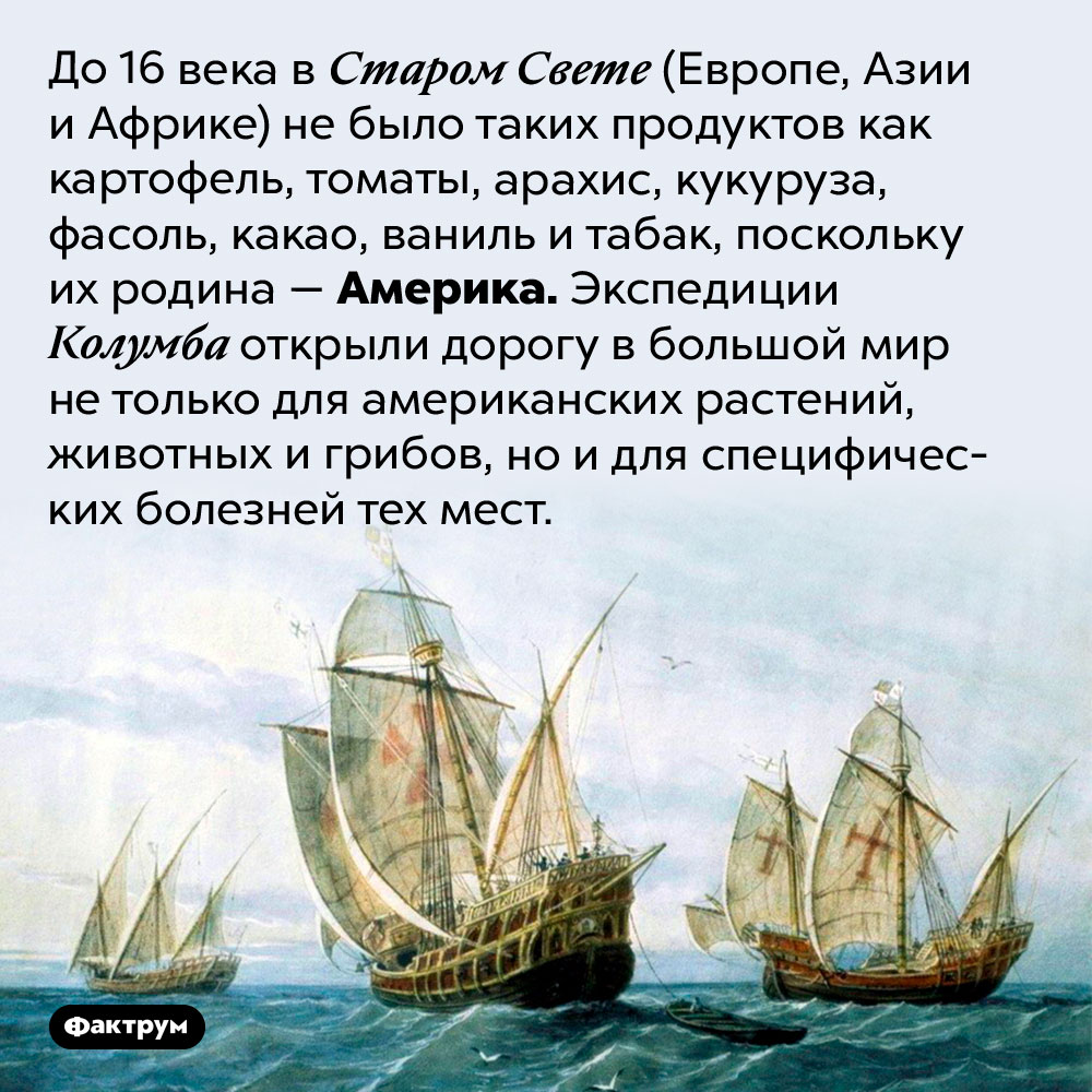 Продукты из Америки, которых не знали до Колумба. До 16 века в Старом Свете (Европе, Азии и Африке) не было таких продуктов как картофель, томаты, арахис, кукуруза, фасоль, какао, ваниль и табак, поскольку их родина — Америка. Экспедиции Колумба открыли дорогу в большой мир не только для американских растений, животных и грибов, но и для специфических болезней тех мест.