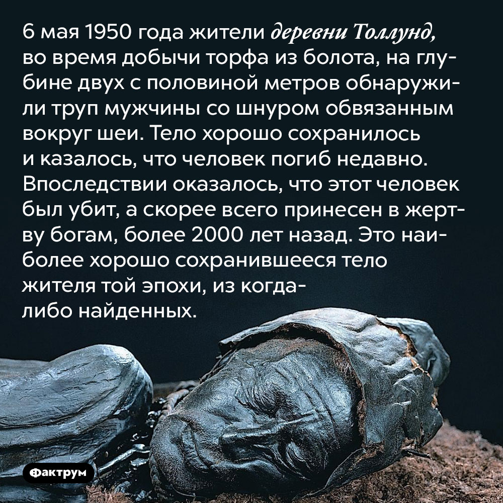 Человек из Толлунда. 6 мая 1950 года жители деревни Толлунд во время добычи торфа из болота на глубине двух с половиной метров обнаружили труп мужчины со шнуром, обвязанным вокруг шеи. Тело хорошо сохранилось и казалось, что человек погиб недавно. Впоследствии оказалось, что этот человек был убит — вероятнее всего, принесён в жертву богам — более 2000 лет назад. Это наиболее хорошо сохранившееся тело жителя той эпохи из когда-либо найденных.