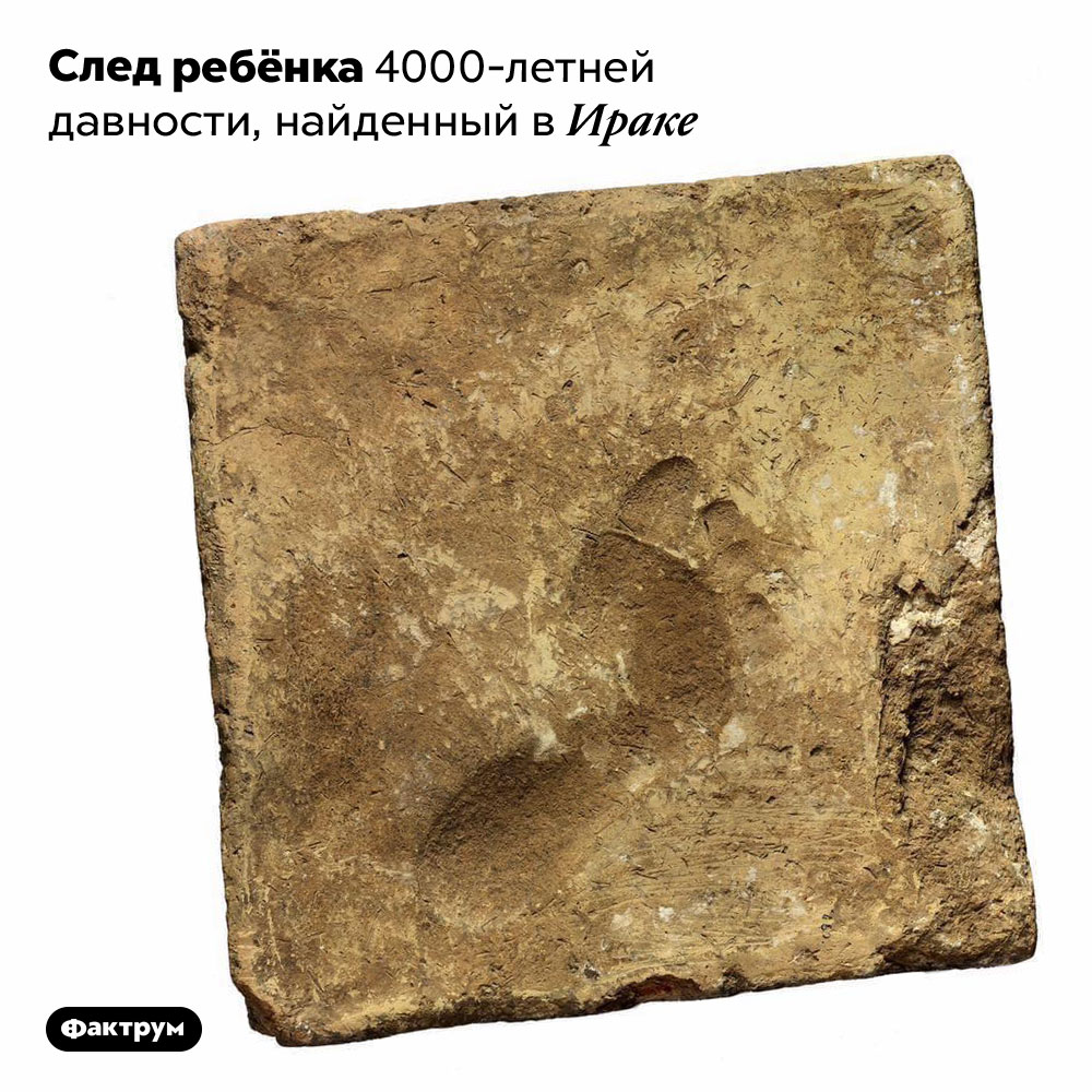 След ребёнка 4000-летней давности, найденный в Ираке. 