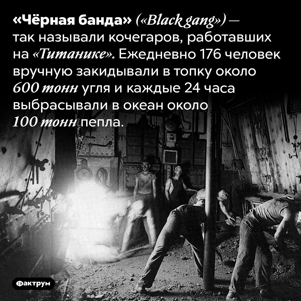 Чёрная банда «Титаника». «Чёрная банда» <em>(«Black gang») —</em> так называли кочегаров, работавших на «Титанике». Ежедневно 176 человек вручную закидывали в топку около 600 тонн угля и каждые 24 часа выбрасывали в океан около 100 тонн пепла.