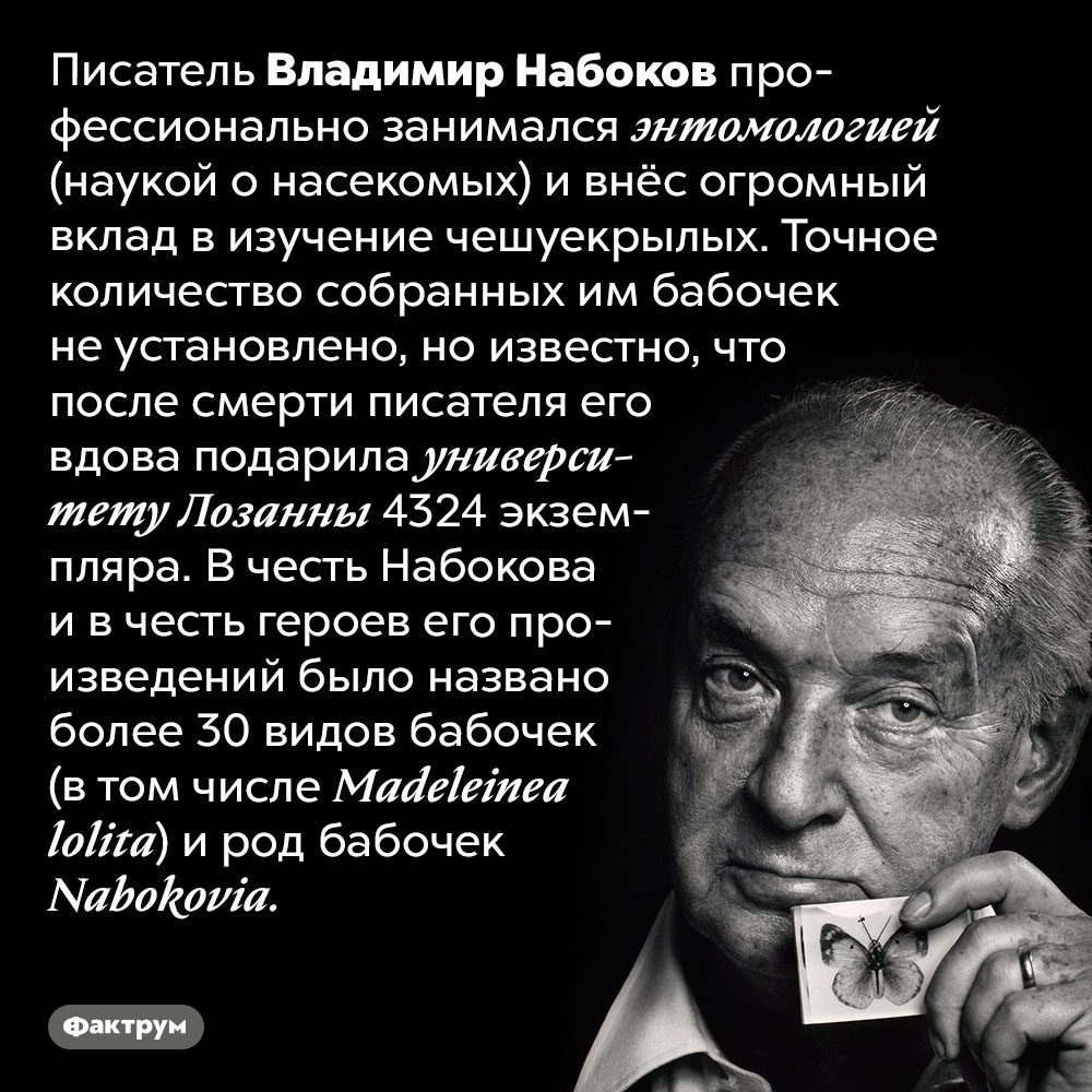 Владимир Набоков внёс огромный вклад в изучение бабочек. Писатель Владимир Набоков профессионально занимался энтомологией (наукой о насекомых) и внёс огромный вклад в изучение чешуекрылых. Точное количество собранных им бабочек не установлено, но известно, что после смерти писателя его вдова подарила университету Лозанны 4324 экземпляра. В честь Набокова и в честь героев его произведений было названо более 30 видов бабочек (в том числе Madeleinea lolita) и род бабочек Nabokovia.