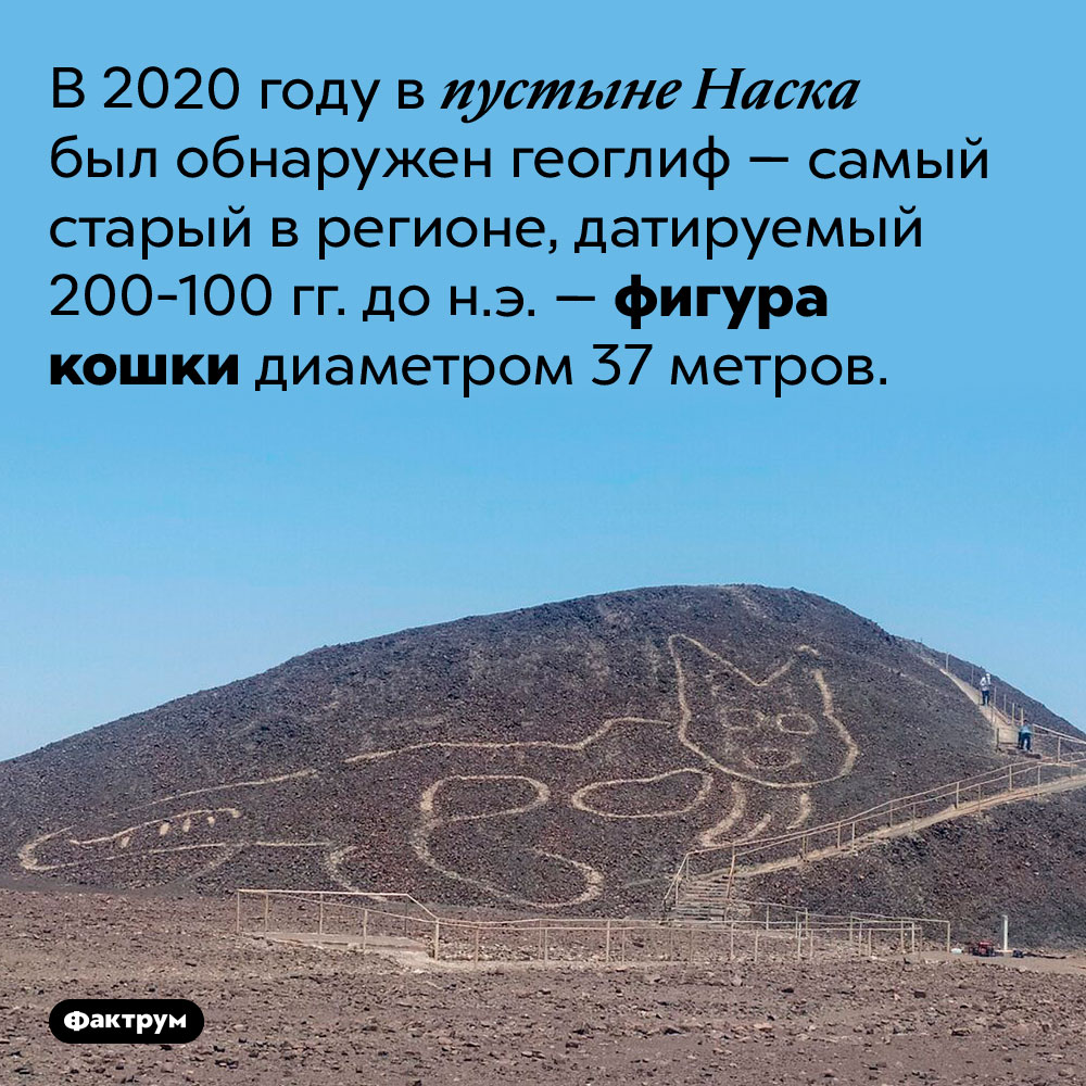 Доисторический геоглиф в виде кошки. В 2020 году в пустыне Наска был обнаружен геоглиф — самый старый в регионе, датируемый 200-100 гг. до н.э. — фигура кошки диаметром 37 метров.