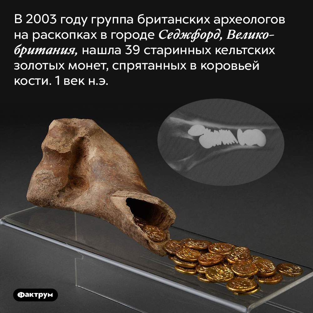 Монеты, спрятанные в коровьей кости. В 2003 году группа британских археологов на раскопках в городе Седжфорд, Великобритания, нашла 39 старинных кельтских золотых монет, спрятанных в коровьей кости. 1 век н.э.