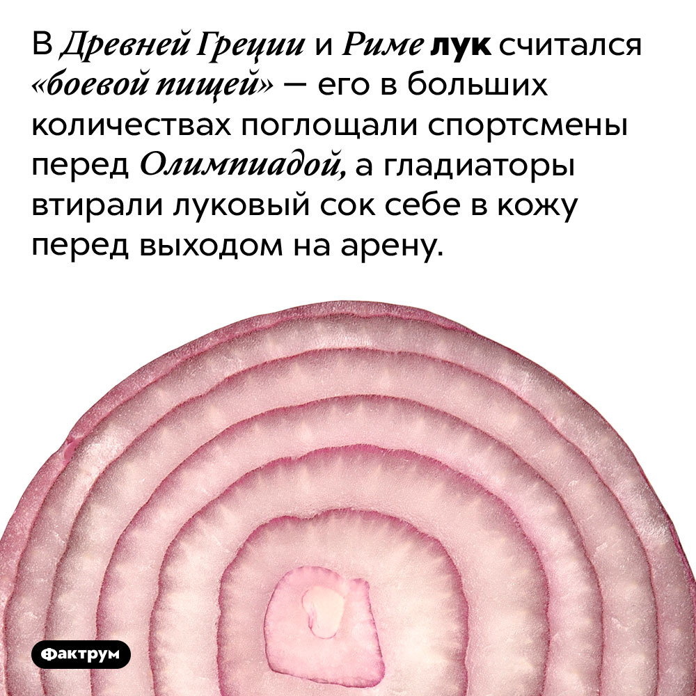 Гладиаторы смазывали тело луковым соком. В Древней Греции и Риме лук считался «боевой пищей» — его в больших количествах поглощали спортсмены перед Олимпиадой, а гладиаторы втирали луковый сок себе в кожу перед выходом на арену.