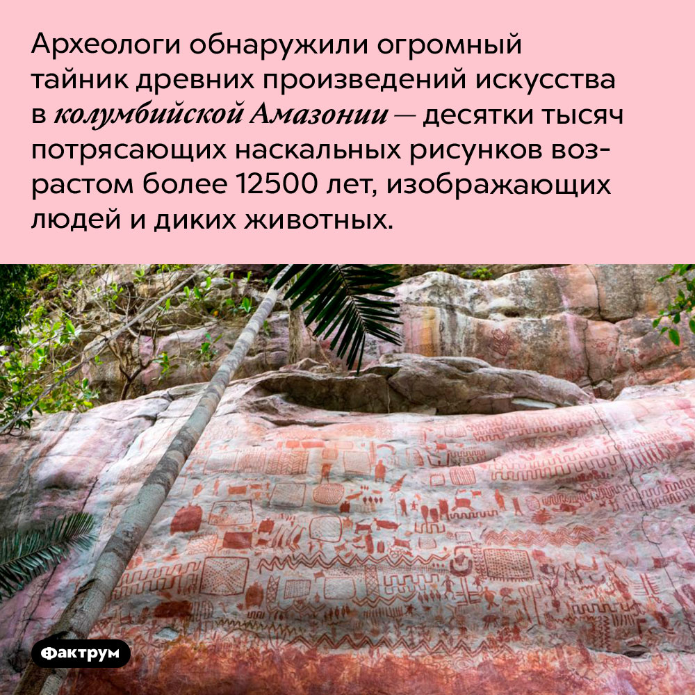 Десятки тысяч картин возрастом более 12500 лет. Археологи обнаружили огромный тайник древних произведений искусства в колумбийской Амазонии — десятки тысяч потрясающих наскальных рисунков возрастом более 12500 лет, изображающих людей и диких животных.