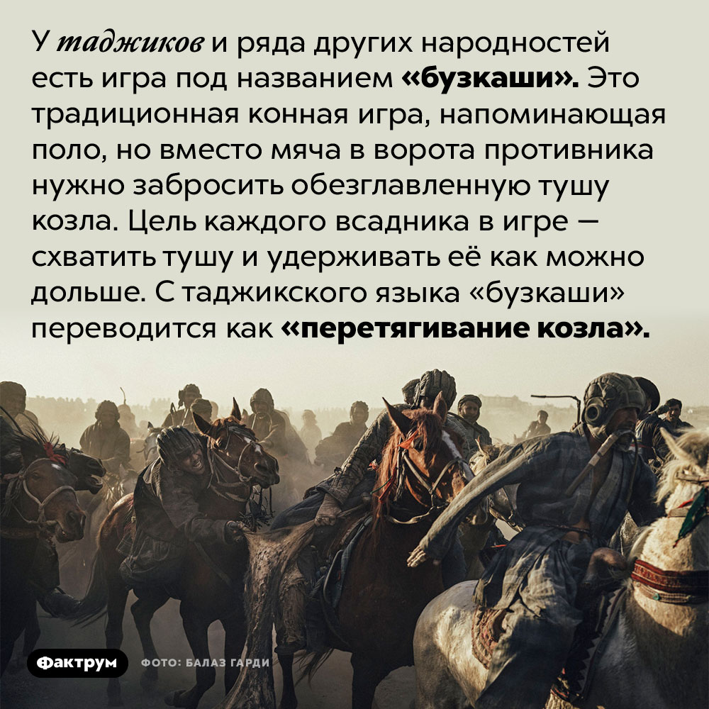 Игра в «перетягивание козла». У таджиков и ряда других народностей есть игра под названием «бузкаши». Это традиционная конная игра, напоминающая поло, но вместо мяча в ворота противника нужно забросить обезглавленную тушу козла. Цель каждого всадника в игре — схватить тушу и удерживать её как можно дольше. С таджикского языка «бузкаши» переводится как «перетягивание козла».
