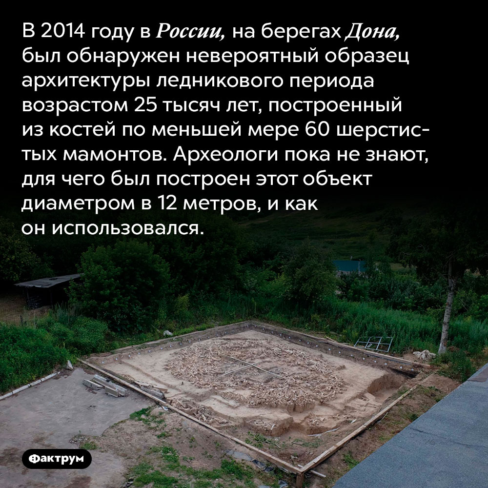 Загадочное сооружение из костей мамонтов. В 2014 году в России, на берегах Дона, был обнаружен невероятный образец архитектуры ледникового периода возрастом 25 тысяч лет, построенный из костей по меньшей мере 60 шерстистых мамонтов. Археологи пока не знают, для чего был построен этот объект диаметром в 12 метров, и как он использовался.