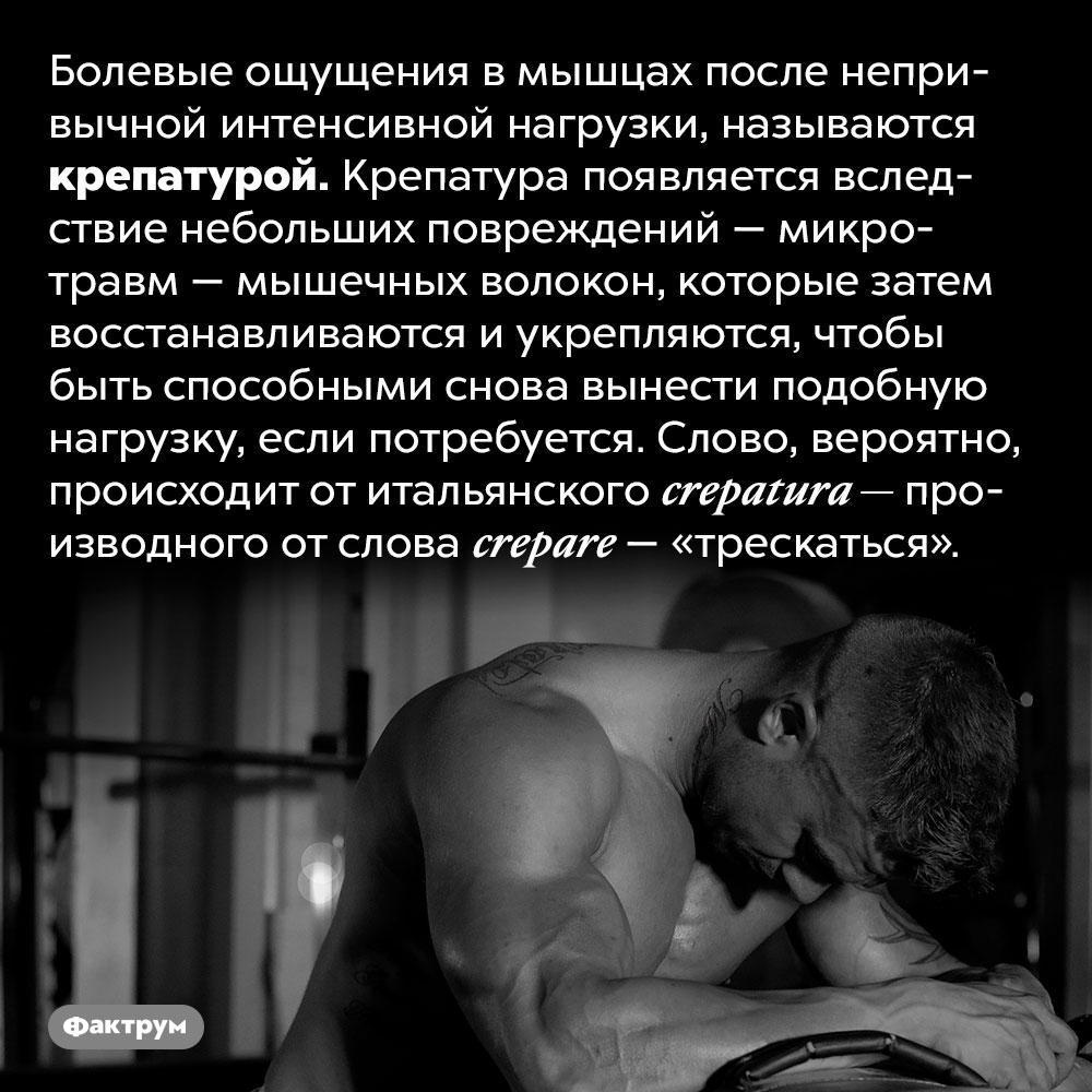 Как называется мышечная боль после тренировок. Болевые ощущения в мышцах после непривычной интенсивной нагрузки, называются крепатурой. Крепатура появляется вследствие небольших повреждений — микротравм — мышечных волокон, которые затем восстанавливаются и укрепляются, чтобы быть способными снова вынести подобную нагрузку, если потребуется. Слово, вероятно, происходит от итальянского crepatura — производного от слова crepare — «трескаться».