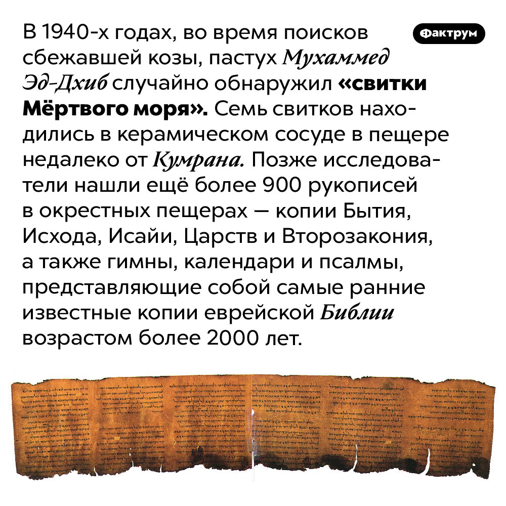 «Свитки Мёртвого моря». В 1940-х годах, во время поисков сбежавшей козы, пастух Мухаммед Эд-Дхиб случайно обнаружил «свитки Мёртвого моря». Семь свитков находились в керамическом сосуде в пещере недалеко от Кумрана. Позже исследователи нашли ещё более 900 рукописей в окрестных пещерах — копии Бытия, Исхода, Исайи, Царств и Второзакония, а также гимны, календари и псалмы, представляющие собой самые ранние известные копии еврейской Библии возрастом более 2000 лет.