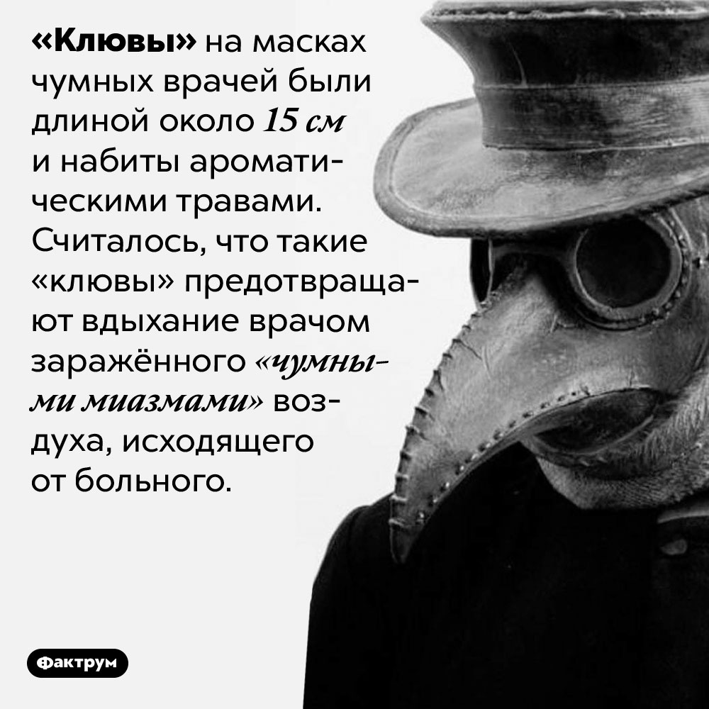 Зачем были нужны «клювы» на масках чумных врачей. «Клювы» на масках чумных врачей были длиной около 15 см и набиты ароматическими травами. Считалось, что такие «клювы» предотвращают вдыхание врачом заражённого «чумными миазмами» воздуха, исходящего от больного.