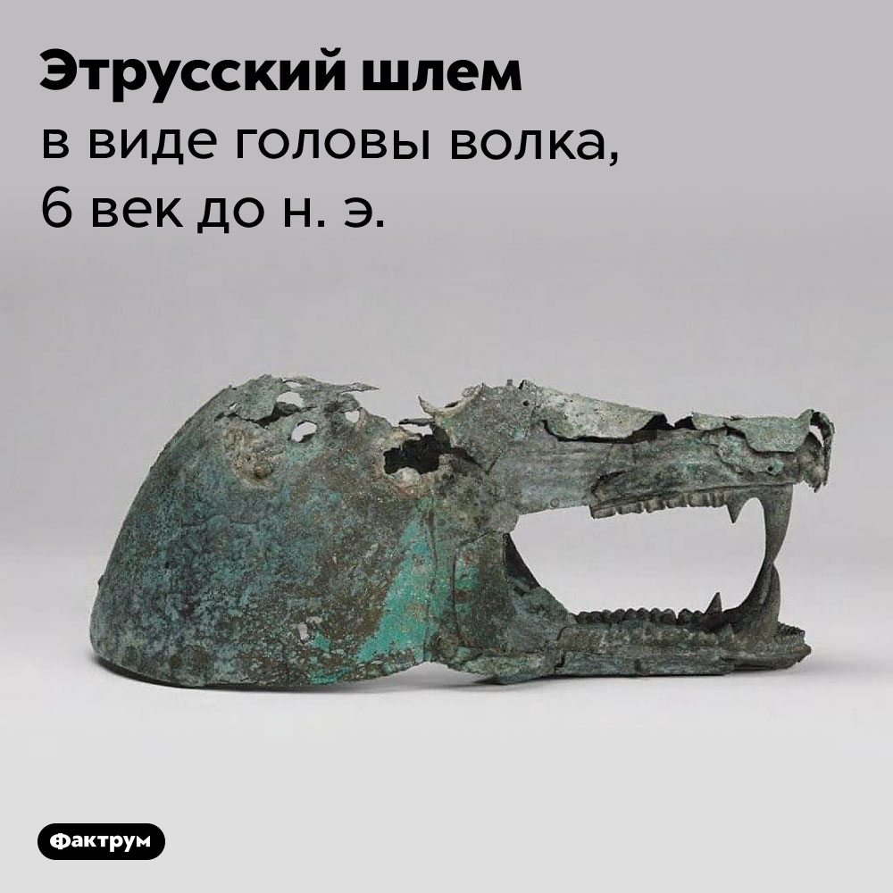 Этрусский шлем в виде головы волка, 6 век до н. э..