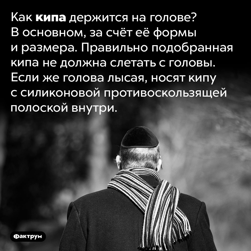 Как кипа держится на голове?. Как кипа держится на голове? В основном, за счёт её формы и размера. Правильно подобранная кипа не должна слетать с головы. Если же голова лысая, носят кипу с силиконовой противоскользящей полоской внутри.