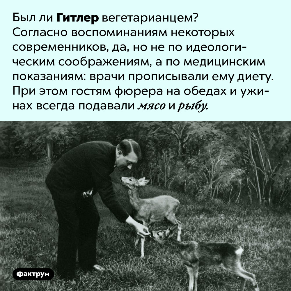 Был ли Гитлер вегетарианцем. Был ли Гитлер вегетарианцем? Согласно воспоминаниям некоторых современников, да, но не по идеологическим соображениям, а по медицинским показаниям: врачи прописывали ему диету. При этом гостям фюрера на обедах и ужинах всегда подавали мясо и рыбу.