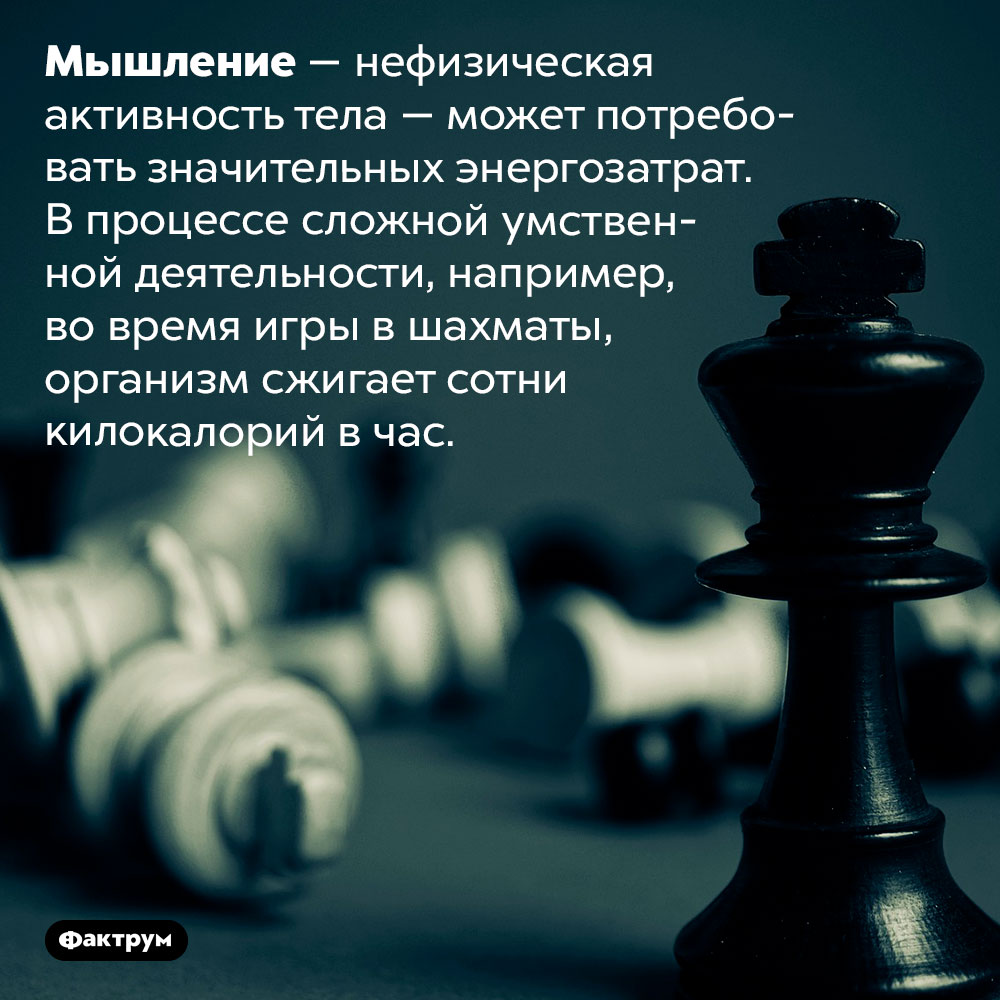 Мышление может сжигать сотни килокалорий в час. Мышление — нефизическая активность тела — может потребовать значительных энергозатрат. В процессе сложной умственной деятельности, например, во время игры в шахматы, организм сжигает сотни килокалорий в час.
