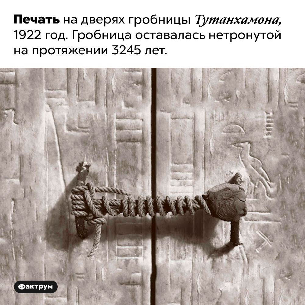 Печать на дверях гробницы Тутанхамона. Печать на дверях гробницы Тутанхамона, 1922 год. Гробница оставалась нетронутой на протяжении 3245 лет.