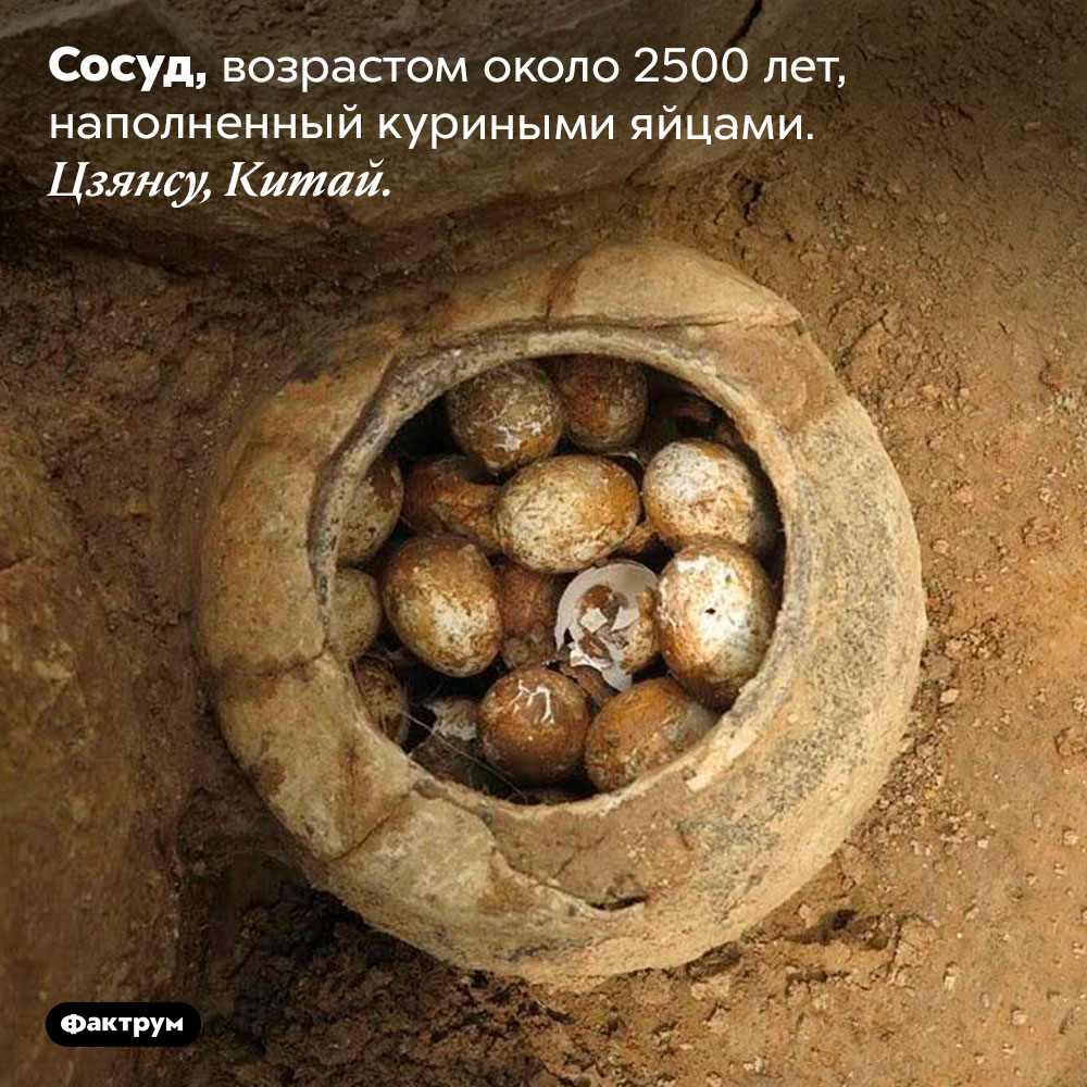 Сосуд, возрастом около 2500 лет, наполненный куриными яйцами. Цзянсу, Китай.