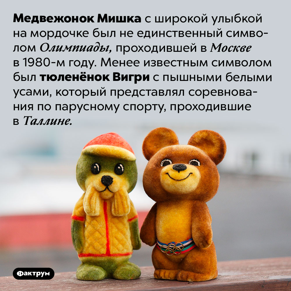 Медвежонок Мишка был не единственным символом Олимпиады-80. Медвежонок Мишка с широкой улыбкой на мордочке был не единственный символом Олимпиады, проходившей в Москве в 1980-м году. Менее известным символом был тюленёнок Вигри с пышными белыми усами, который представлял соревнования по парусному спорту, проходившие в Таллине.