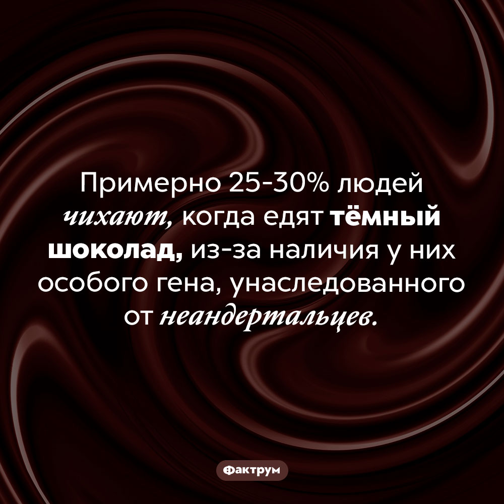 Некоторые люди чихают, когда едят тёмный шоколад. Примерно 25-30% людей чихают, когда едят тёмный шоколад, из-за наличия у них особого гена, унаследованного от неандертальцев.