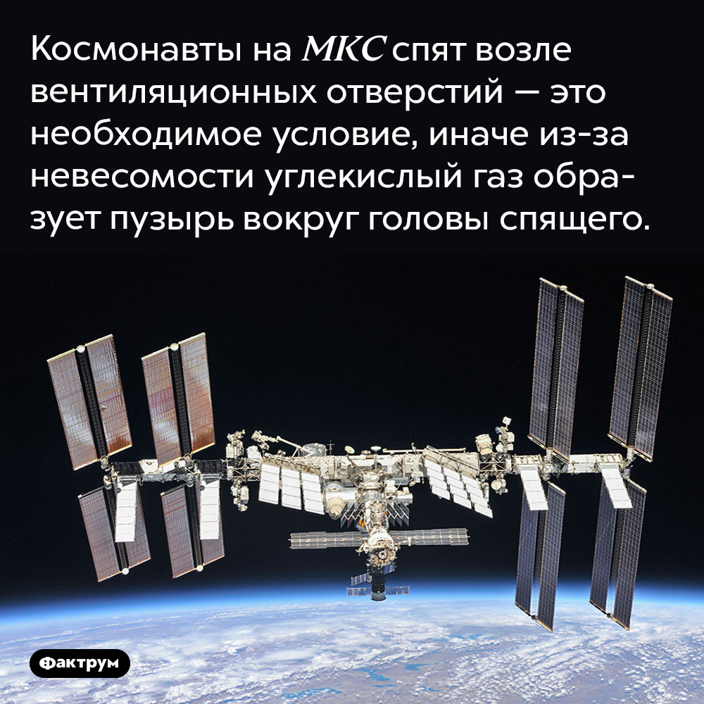 Почему космонавты спят возле вентиляции. Космонавты на МКС спят возле вентиляционных отверстий — это необходимое условие, иначе из-за невесомости углекислый газ образует пузырь вокруг головы спящего.