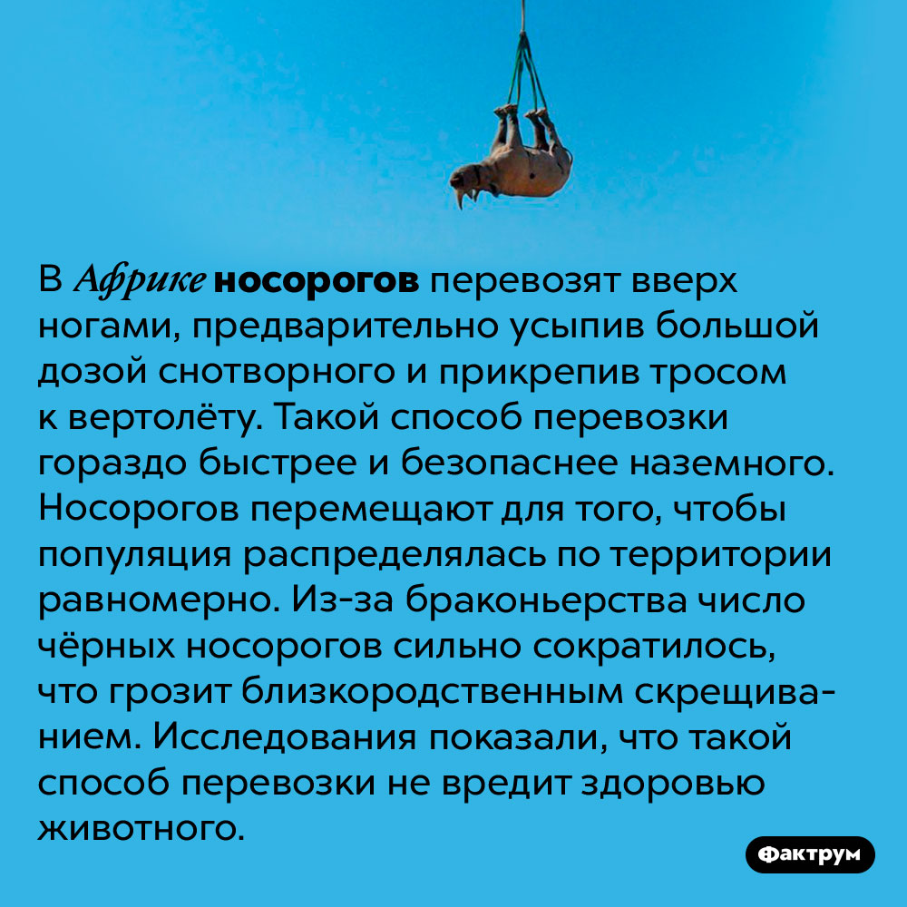 Фото Верх Ногами Фото Верх Ногами