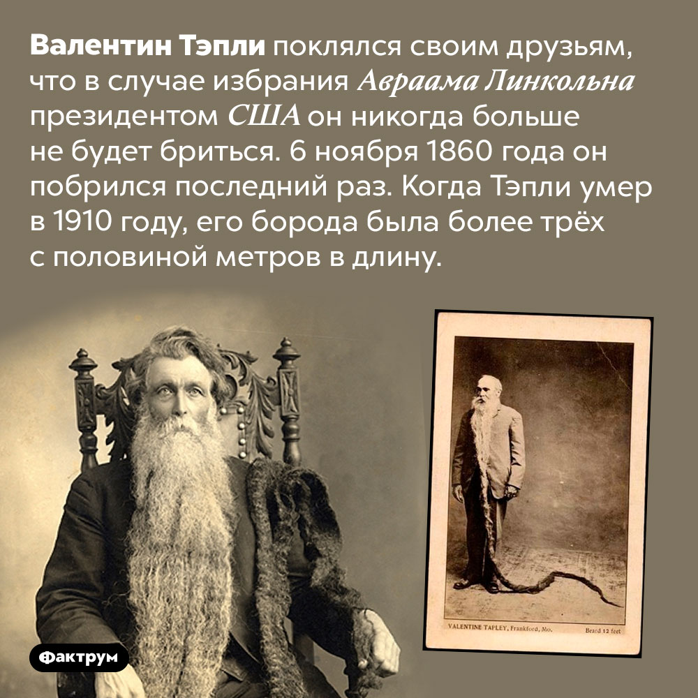 Почему Валентин Тэпли не брился 50 лет. Валентин Тэпли поклялся своим друзьям, что в случае избрания Авраама Линкольна президентом США он никогда больше не будет бриться. 6 ноября 1860 года он побрился последний раз. Когда Тэпли умер в 1910 году, его борода была более трёх с половиной метров в длину.