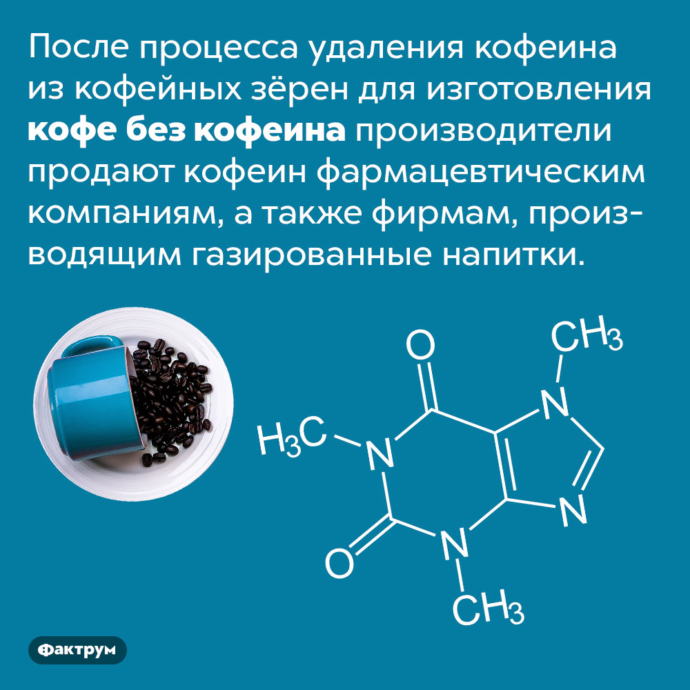 Куда девается кофеин из кофе без кофеина. После процесса удаления кофеина из кофейных зёрен для изготовления кофе без кофеина производители продают кофеин фармацевтическим компаниям, а также фирмам, производящим газированные напитки.