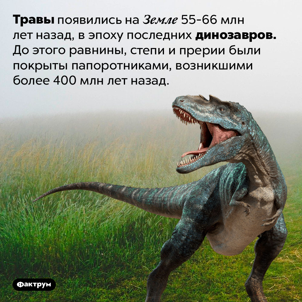 Динозавры на Земле появились раньше травы. Травы появились на Земле 55-66 млн лет назад, в эпоху последних динозавров, живущих на Земле. До этого равнины, степи и прерии были покрыты папоротниками, возникшими более 400 млн лет назад.