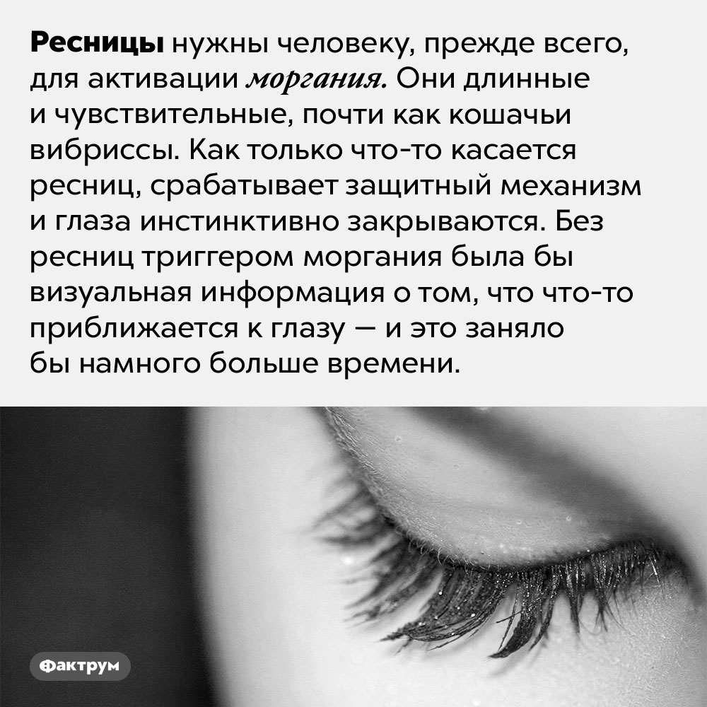 Зачем нужны ресницы. Ресницы нужны человеку, прежде всего, для активации моргания. Они длинные и чувствительные, почти как кошачьи вибриссы. Как только что-то касается ресниц, срабатывает защитный механизм и глаза инстинктивно закрываются. Без ресниц триггером моргания была бы визуальная информация о том, что что-то приближается к глазу — и это заняло бы намного больше времени.