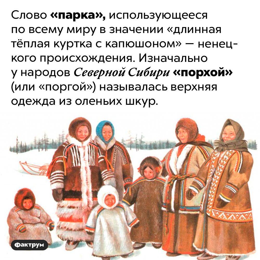 Единственное слово жителей Крайнего Севера, ставшее международным. Слово «парка», использующееся по всему миру в значении «длинная тёплая куртка с капюшоном» — ненецкого происхождения. Изначально у народов Северной Сибири «порхой» (или «поргой») называлась верхняя одежда из оленьих шкур.