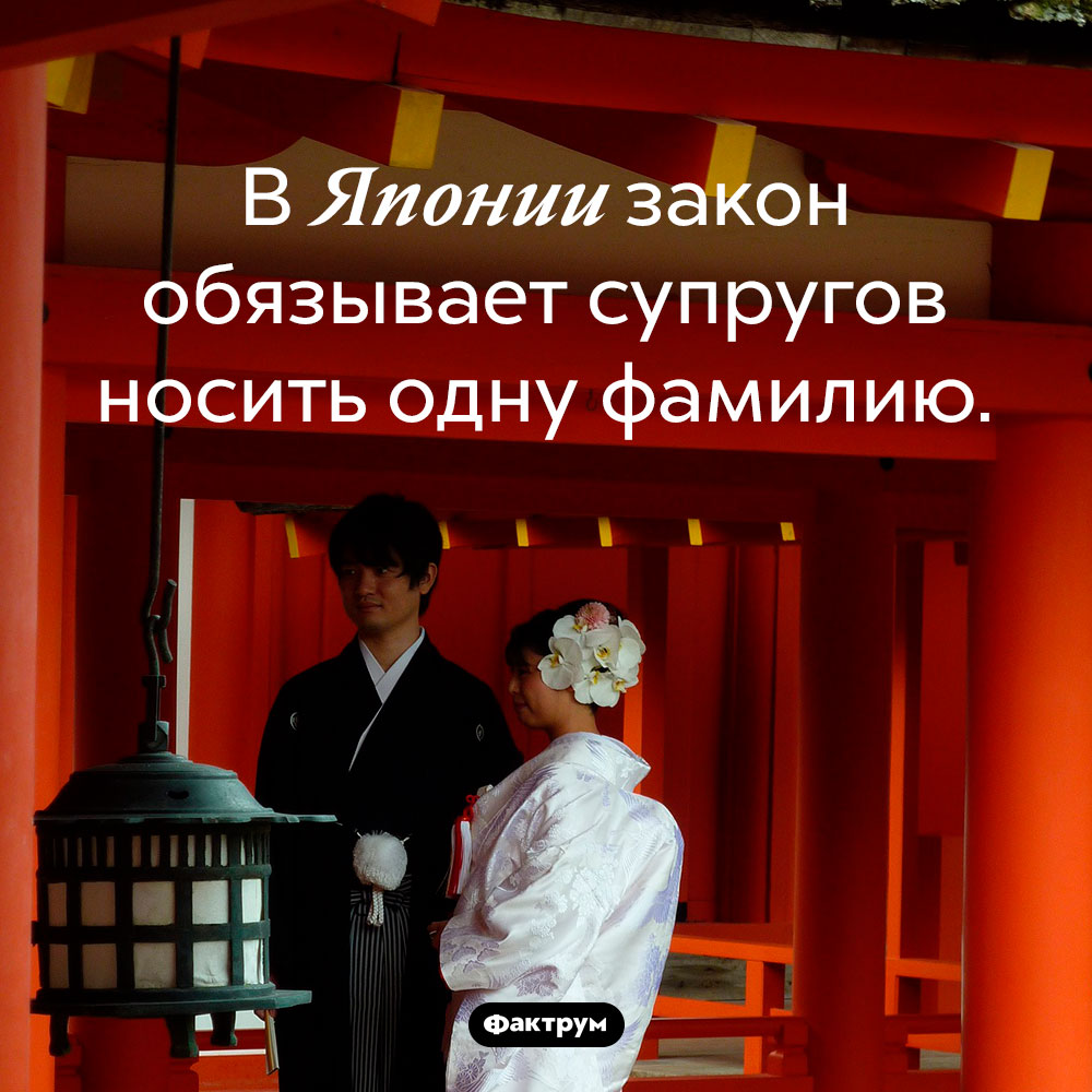 Японский закон обязывает супругов иметь одинаковую фамилию. В Японии закон обязывает супругов носить одну фамилию.