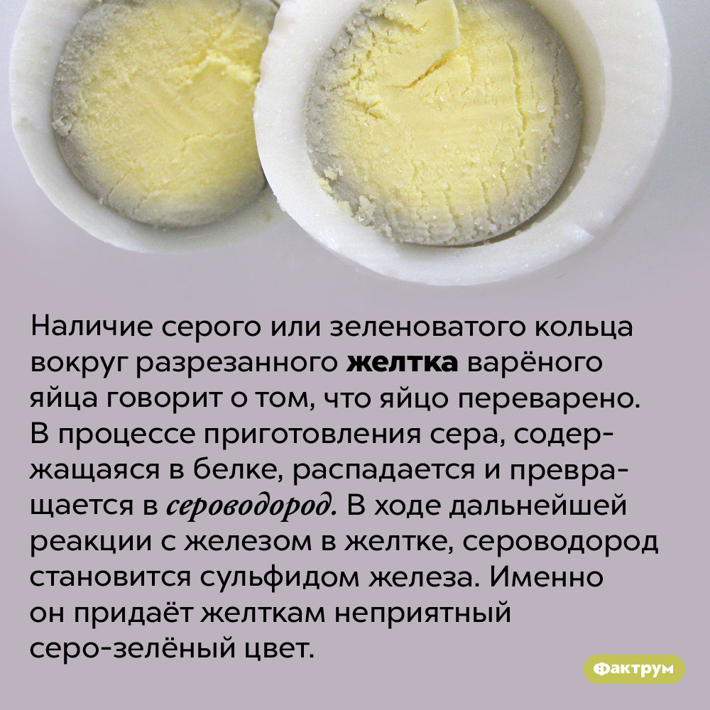 Откуда берётся серое кольцо вокруг желтка сваренного яйца. Наличие серого или зеленоватого кольца вокруг разрезанного желтка варёного яйца говорит о том, что яйцо переварено. В процессе приготовления сера, содержащаяся в белке, распадается и превращается в сероводород. В ходе дальнейшей реакции с железом в желтке, сероводород становится сульфидом железа. Именно он придаёт желткам неприятный серо-зелёный цвет.