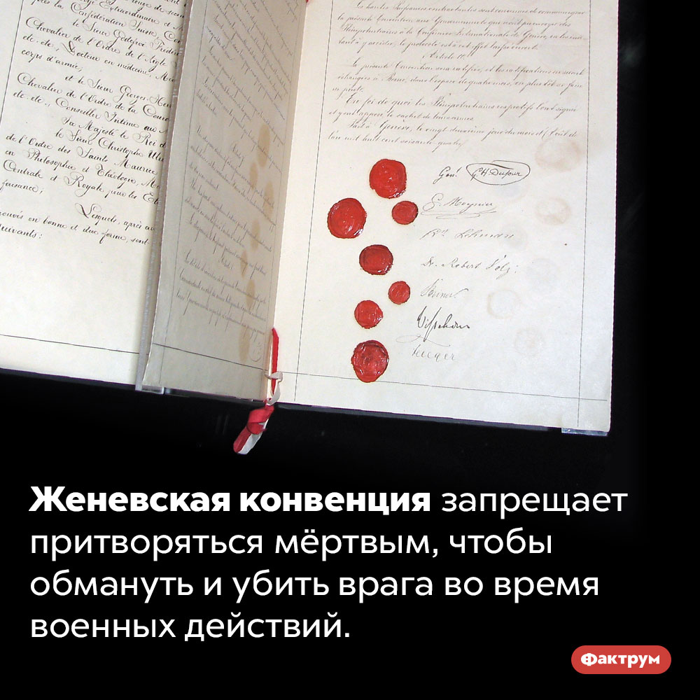 Согласно Женевской конвенции, на войне нельзя притворяться мёртвым. Женевская конвенция запрещает притворяться мёртвым, чтобы обмануть и убить врага во время военных действий.