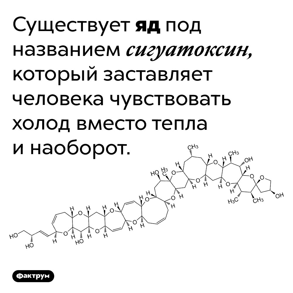 4D-печать — объекты меняют форму под воздействием тепла