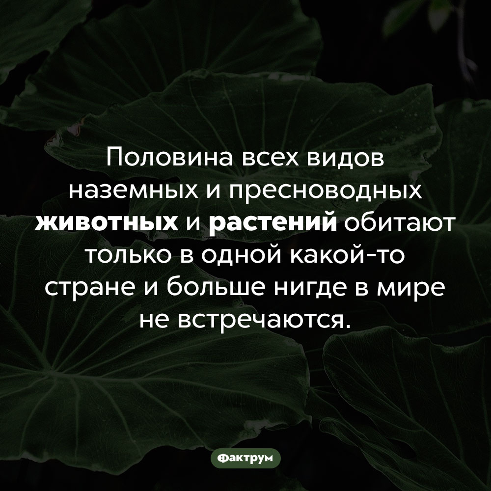 Половина видов животных и растений имеют очень ограниченный ареал. Половина всех видов наземных и пресноводных животных и растений обитают только в одной какой-то стране и больше нигде в мире не встречаются.