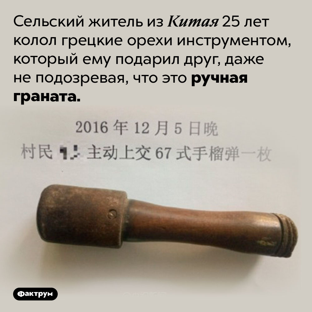 Граната для колки орехов. Сельский житель из Китая 25 лет колол грецкие орехи инструментом, который ему подарил друг, даже не подозревая, что это ручная граната.