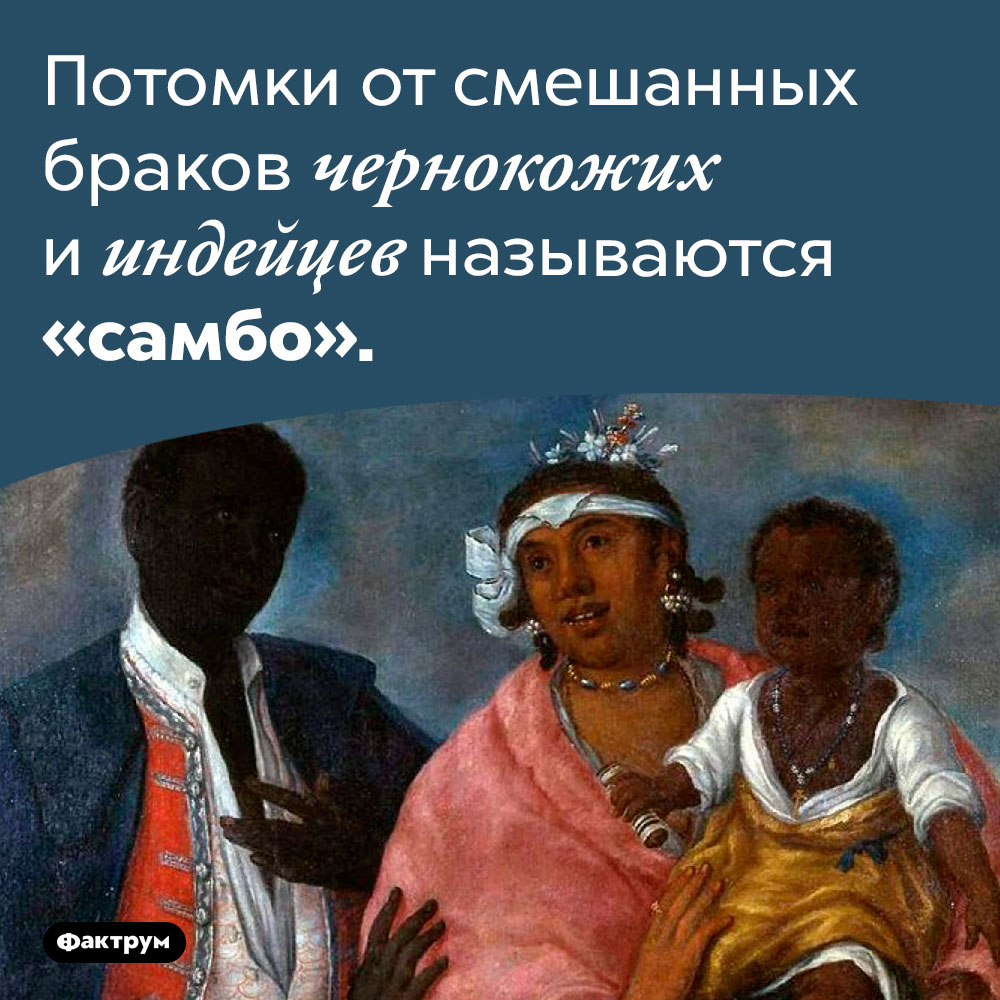 Кто такие «самбо». Потомки от смешанных браков чернокожих и индейцев называются «самбо».