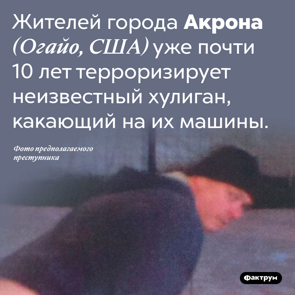 Хулиган, замучивший американский городок. Жителей города Акрона (Огайо, США) уже почти 10 лет терроризирует неизвестный хулиган, какающий на их машины.