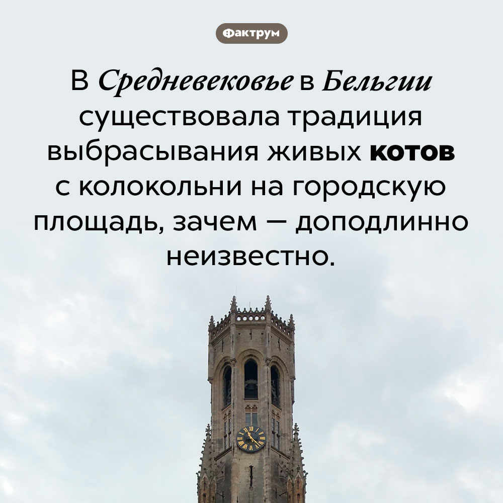 В Бельгии была традиция выбрасывать котов с колокольни. В Средневековье в Бельгии существовала традиция выбрасывания живых котов с колокольни на городскую площадь, зачем — доподлинно неизвестно.