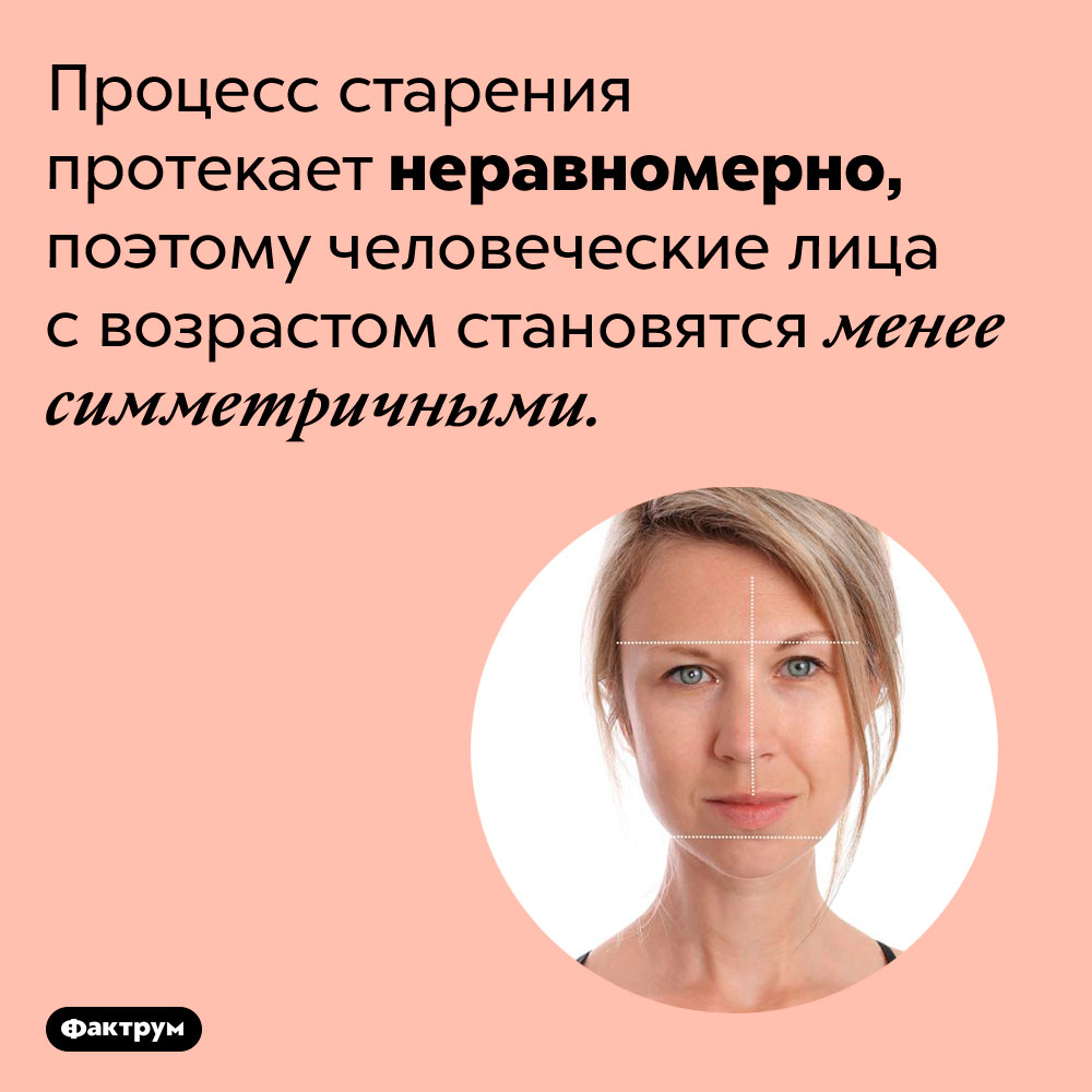 Почему человеческие лица с возрастом утрачивают симметрию. Процесс старения протекает неравномерно, поэтому человеческие лица с возрастом становятся менее симметричными.