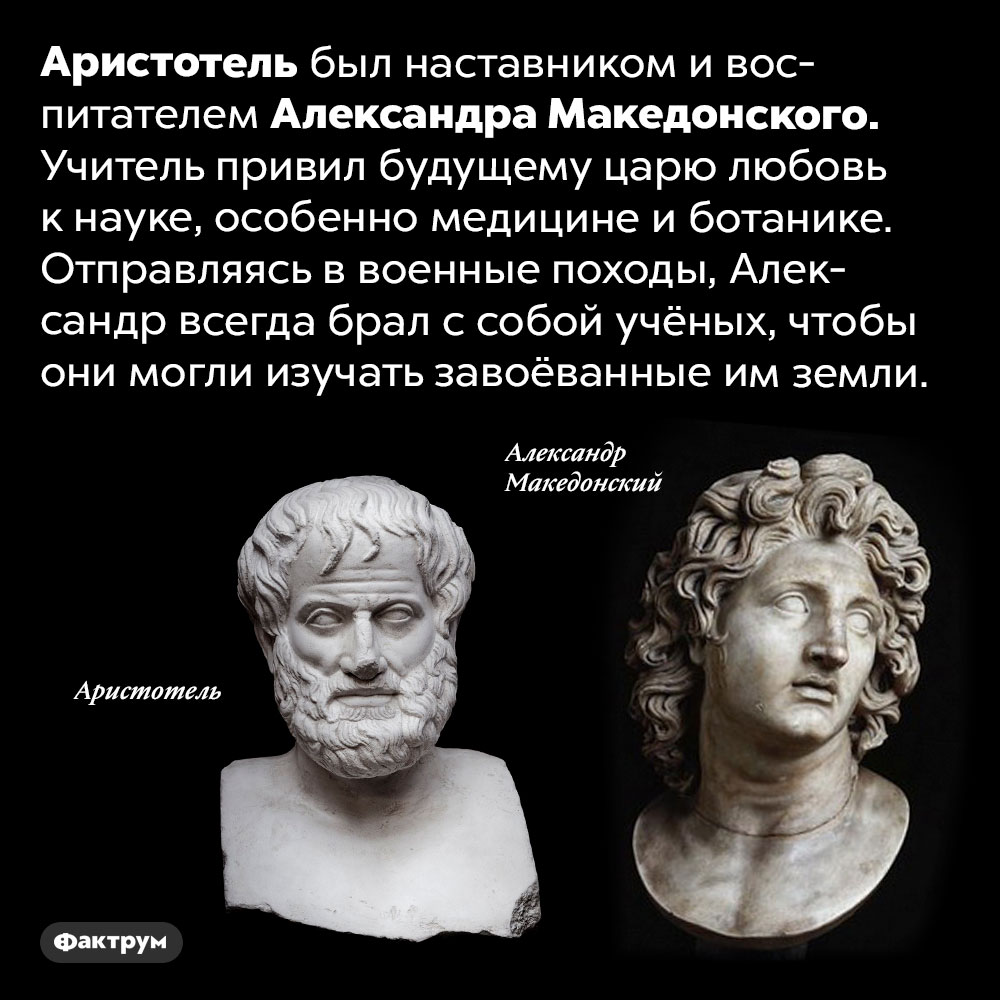 Александр Македонский любил науку. Аристотель был наставником и воспитателем Александра Македонского. Учитель привил будущему царю любовь к науке, особенно медицине и ботанике. Отправляясь в военные походы, Александр всегда брал с собой учёных, чтобы они могли изучать завоёванные им земли.