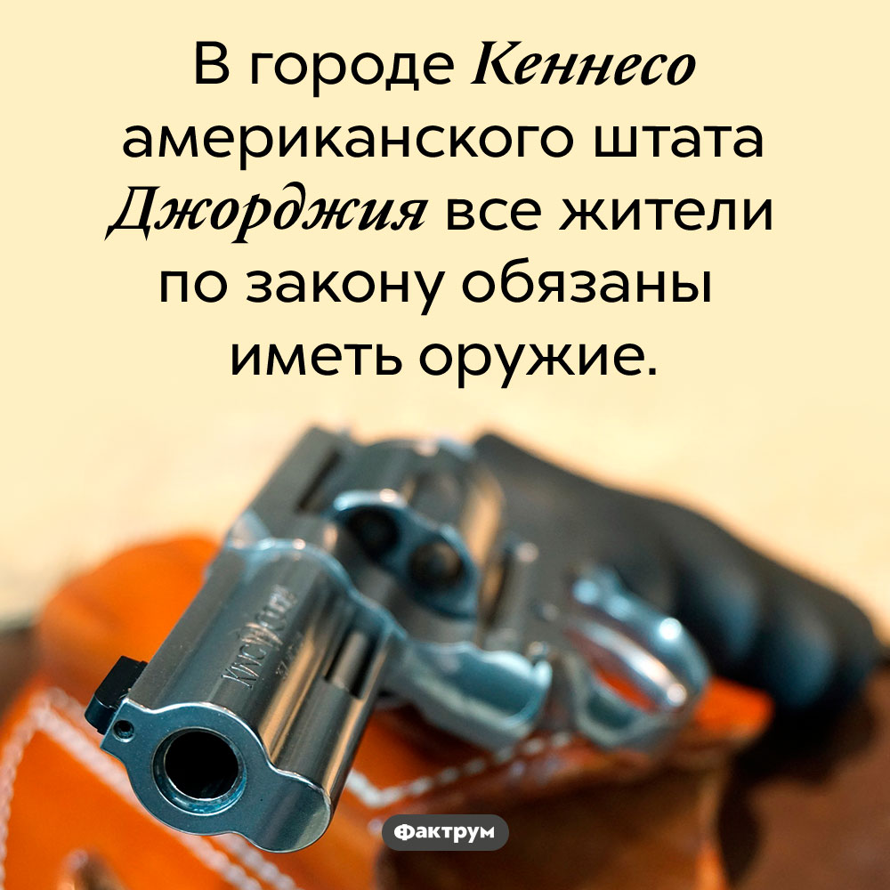 Закон Кеннесо, США, обязывает жителей иметь оружие. В городе Кеннесо американского штата Джорджия все жители по закону обязаны иметь оружие.